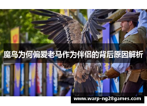 魔鸟为何偏爱老马作为伴侣的背后原因解析