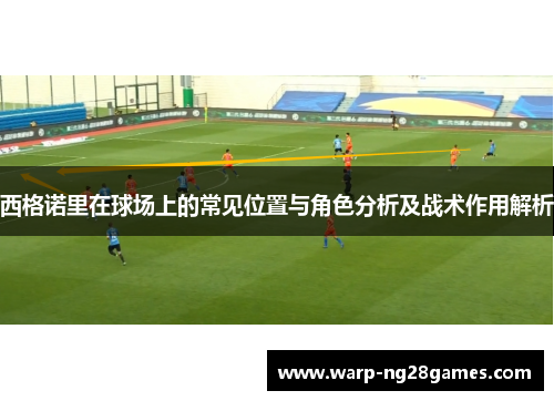 西格诺里在球场上的常见位置与角色分析及战术作用解析
