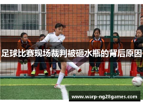 足球比赛现场裁判被砸水瓶的背后原因 足球比赛现场裁判被砸水瓶的背后原因
